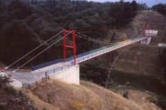 C0201 想い出の森吊橋-1