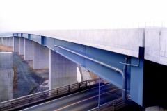 B1006 大洲高架橋-4