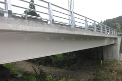 C2201-1 山河内側道橋-2